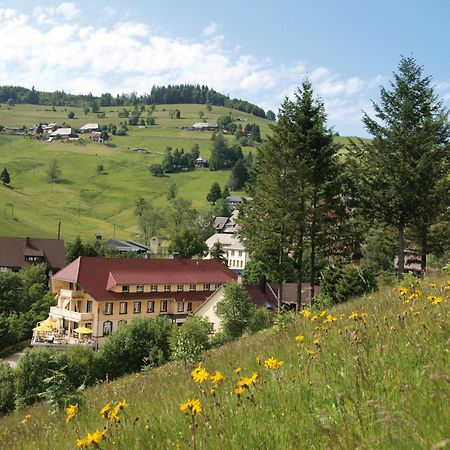 Grüner Baum Naturparkhotel&Schwarzwald-Restaurant Todtnau Exterior foto