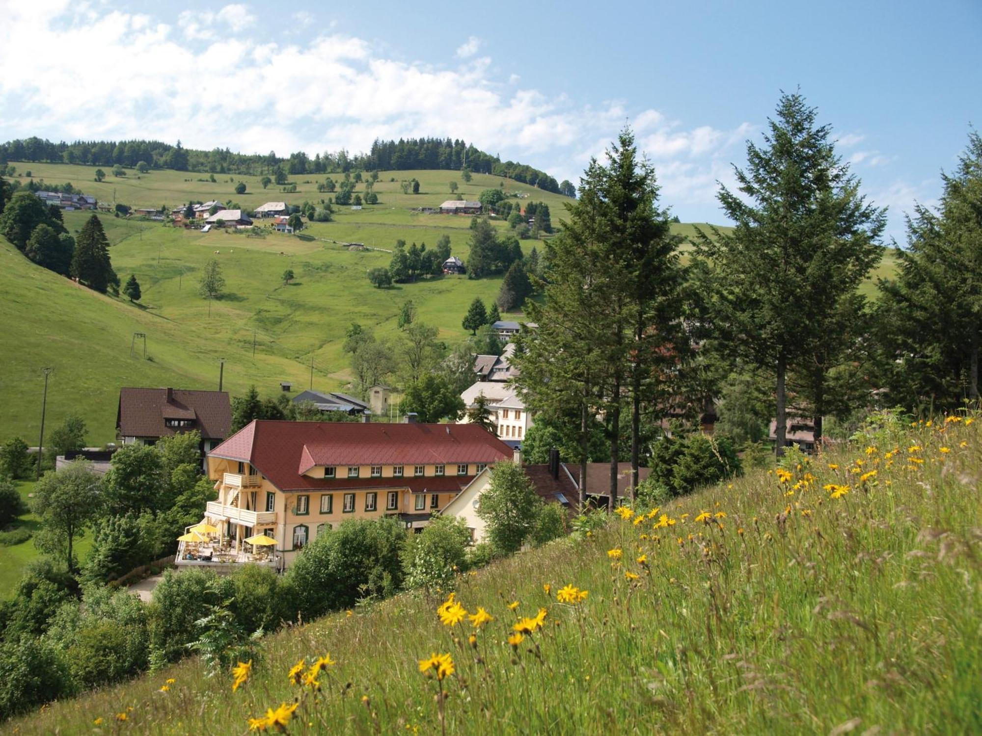 Grüner Baum Naturparkhotel&Schwarzwald-Restaurant Todtnau Exterior foto