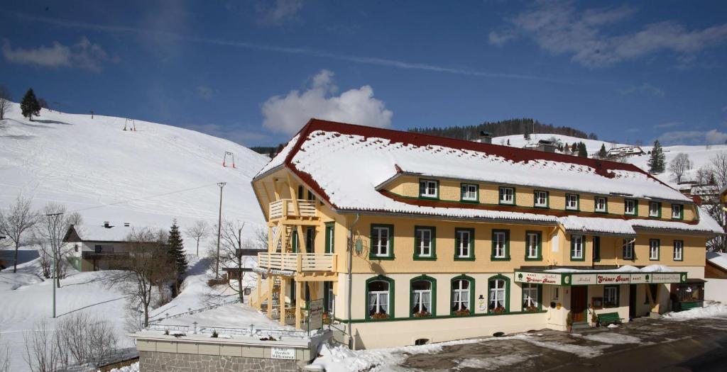 Grüner Baum Naturparkhotel&Schwarzwald-Restaurant Todtnau Exterior foto