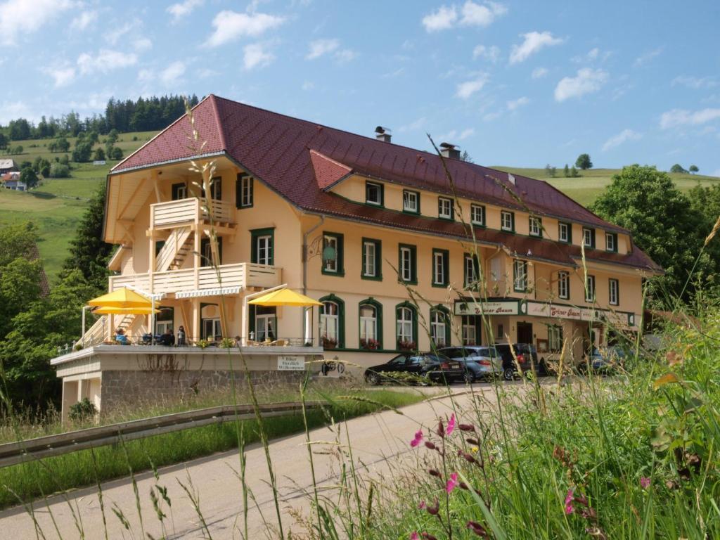 Grüner Baum Naturparkhotel&Schwarzwald-Restaurant Todtnau Exterior foto